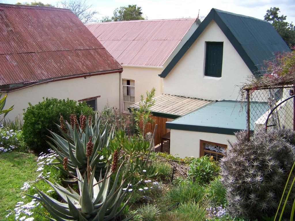 Lemontree Cottage Heidelberg  Zewnętrze zdjęcie